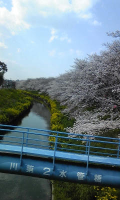 100403_141643.jpg