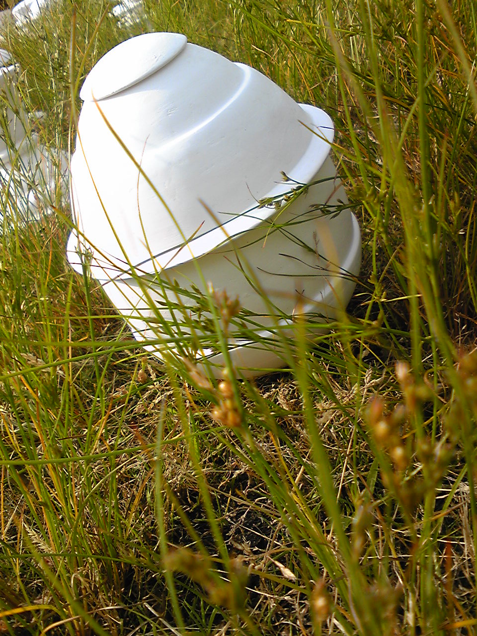 120607_160548.jpg