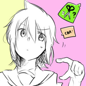 hasami.jpg