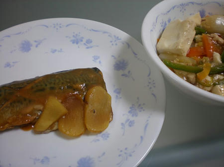 20080115.jpg