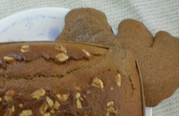 20080209nomiso.jpg