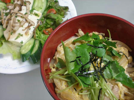 20080225.jpg