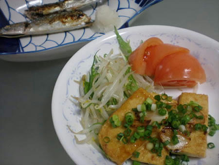 20080226.jpg