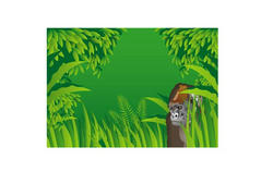 jungle.jpg