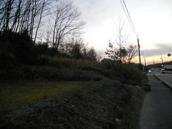 DSCN0387.jpg