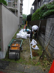 IMGP0620.jpg