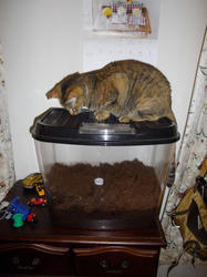 IMGP0642.jpg