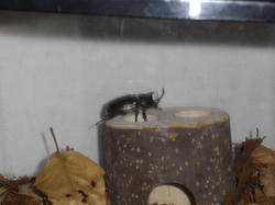 IMGP0677.jpg