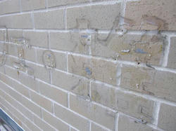 IMGP0728.jpg