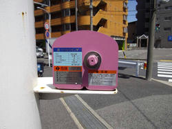 IMGP0915.jpg