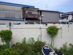 IMGP1076.jpg
