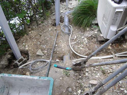 IMGP1101.jpg