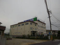 IMGP1401.jpg