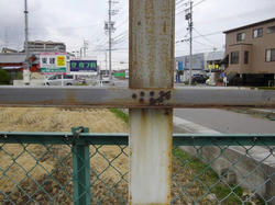 IMGP1651.jpg