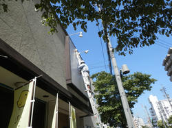 P7100046.jpg