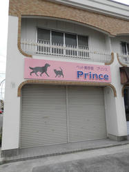 PC020174.jpg