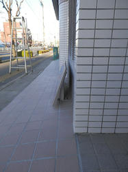 PC260325.jpg