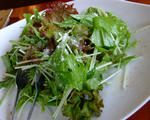 湘南野菜のシンプルサラダ