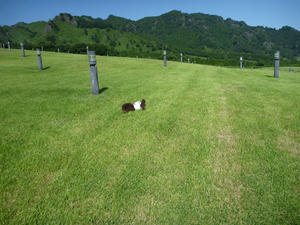 P1010451.JPG