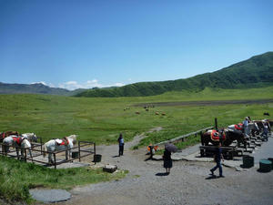 P1010563.JPG