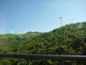 P1010587.JPG
