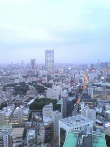 D1000409.JPG