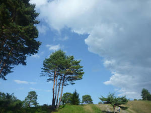 P1020037.JPG