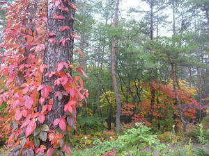 P1020122.JPG