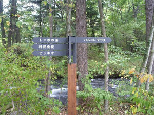 P1020129.JPG