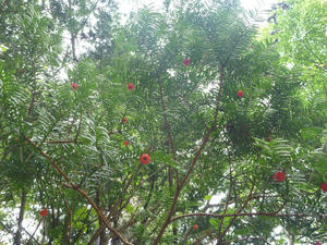 P1020155.JPG