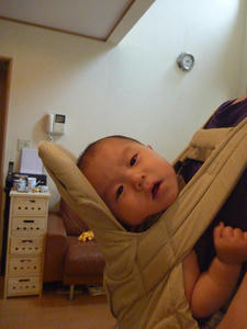 P1020247.JPG