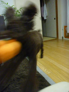 P1030014.JPG