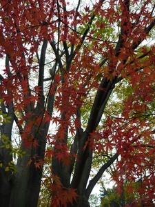 P1030037.JPG