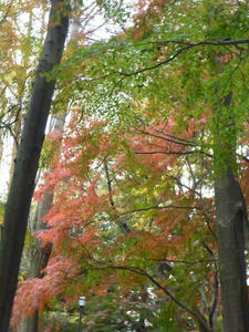 P1030201.JPG