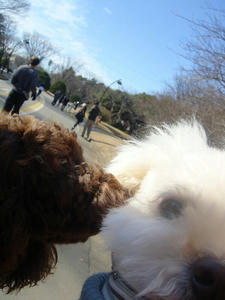 DSC00446.jpg