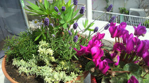 P1010050.JPG