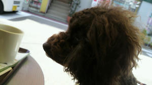 P1010067.JPG