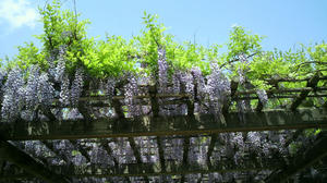 2010043012270002.jpg