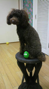 2010050320280002.jpg