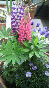 2010050408550001.jpg