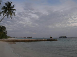 R0010725.JPG