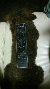 2010052820150001.jpg