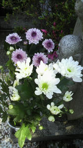 2010060414060000.jpg