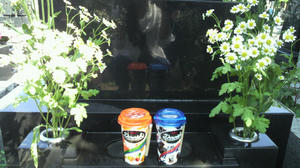 2010060414080002.jpg