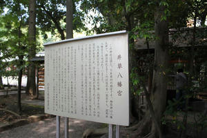 IMG_1416.JPG