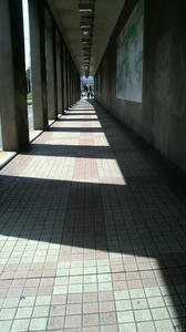 2010061513590001.jpg