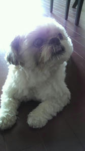 2010072212290000.jpg