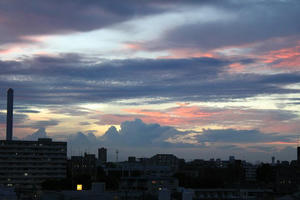 IMG_2812.JPG