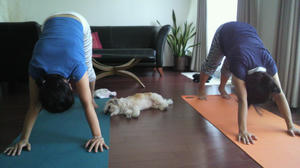 2010081112010001.jpg