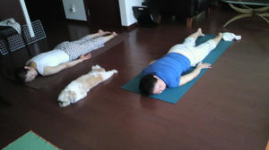 2010081112090001.jpg